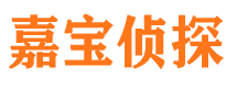 兰西寻人公司